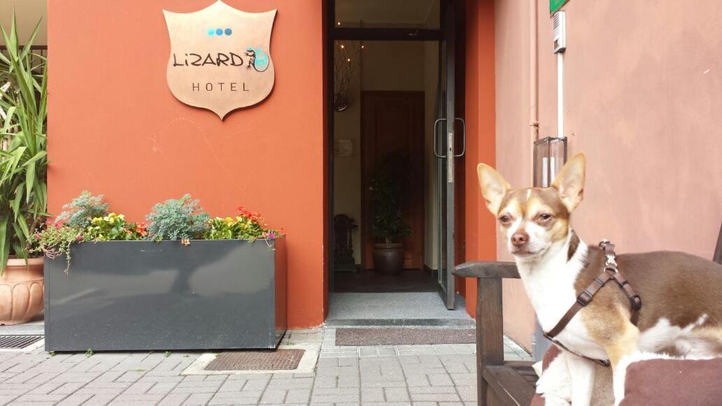 Lizard Hotel Como Eksteriør billede